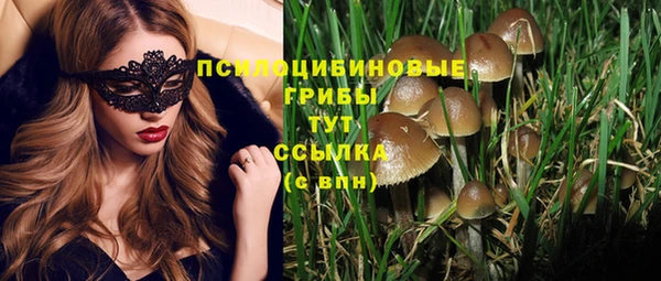 ПСИЛОЦИБИНОВЫЕ ГРИБЫ Бронницы