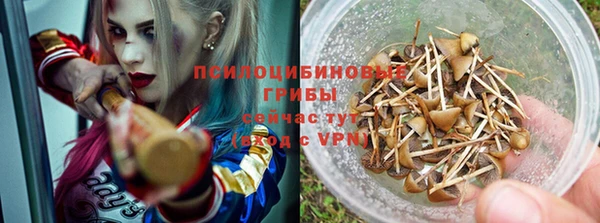 спиды Бородино