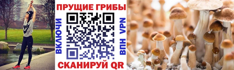 Псилоцибиновые грибы Magic Shrooms  Верхняя Тура 